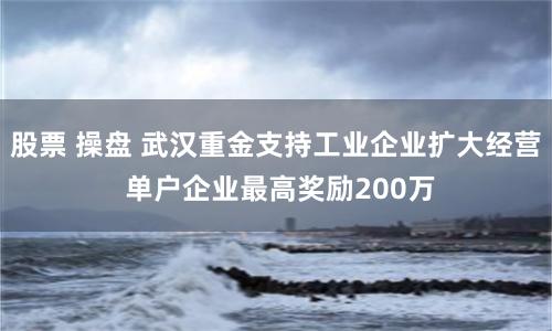 股票 操盘 武汉重金支持工业企业扩大经营 单户企业最高奖励200万