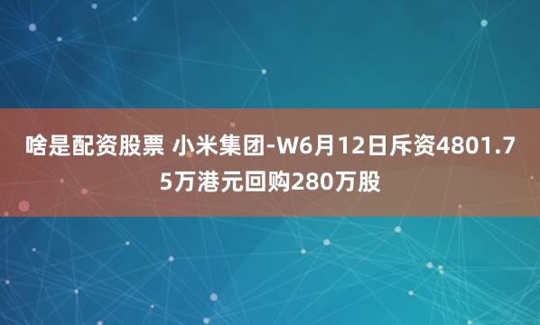 啥是配资股票 小米集团-W6月12日斥资4801.75万港元回购280万股